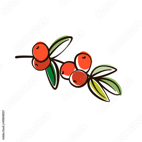 Branch of coffee tree with leaves and grains. Simple black line outline icon, with red and colored blots. Minimal logo. Natural cafe concept.