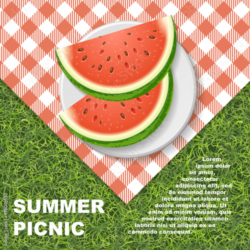 Summer picnic in the park on the grass. Top view. Watermelon on a plate. View from above.