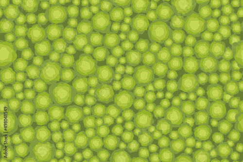 Seamless pattern. Forest top view. Park view from above. 