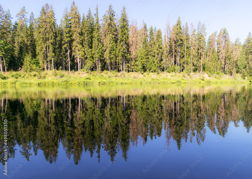 beautiful morning on the river, shore and tree reflections in the water, Gauja river, Latvia beautiful morning on the river, shore and tree reflections in the water, Gauja river, Latvia