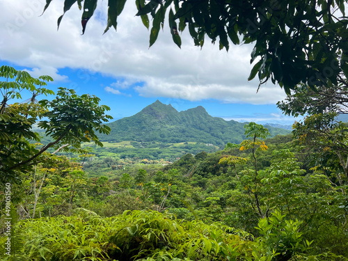 mountains, tropical fauna, spectaculer view
