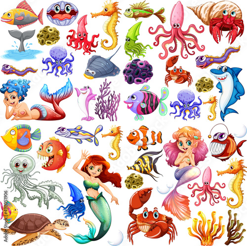Different types of sea animals