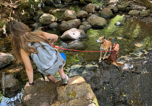 Young woman cheating with her dog in Hawaii. Jumping off the rocks and descending into the water