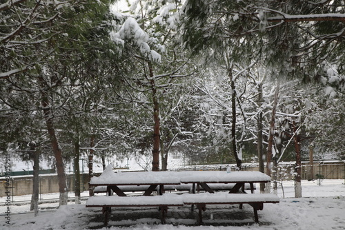 Empty benches in the snowy forest. Winter concept. snowy trees