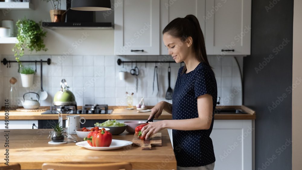 Keep diet, vegetarian homemade food preparation, balanced lunch, healthy life habit concept. Young woman stand in kitchen, holds knife cutting paprika make vegan salad with fresh lettuce and tomatoes