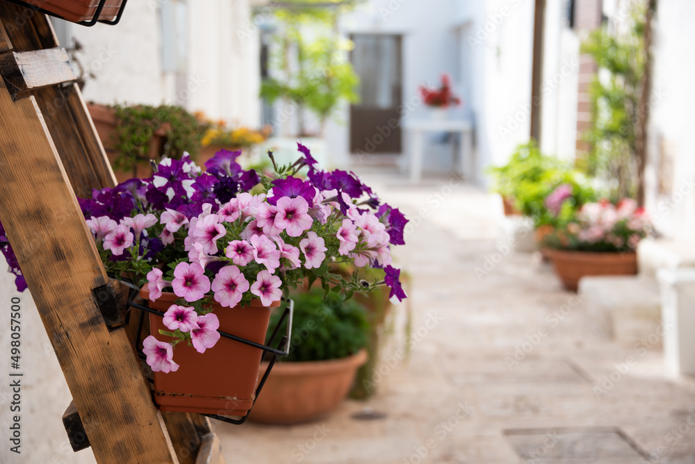 Fototapeta premium Alberobello town in Italy, famous for its hictoric trullo houses