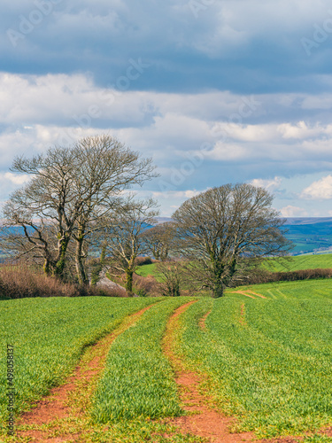 Fields and Meadows over English Village, Berry Pomeroy, Devon, England, Europe © Maciej Olszewski