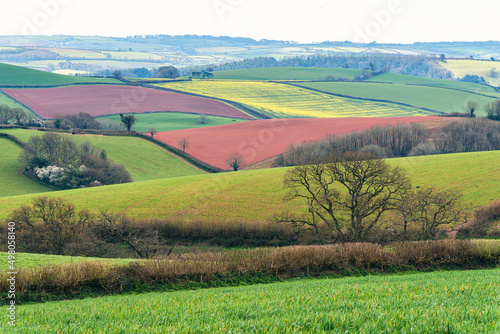 Fields and Meadows over English Village, Berry Pomeroy, Devon, England, Europe photo