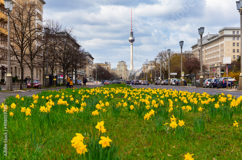 Daffodils on the middle lane of Karl-Marx-Allee in Berlin-Friedrichshain, Germany