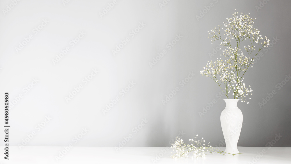 gypsophila flowers in white vase on gray background gypsophila flowers in white vase on gray background