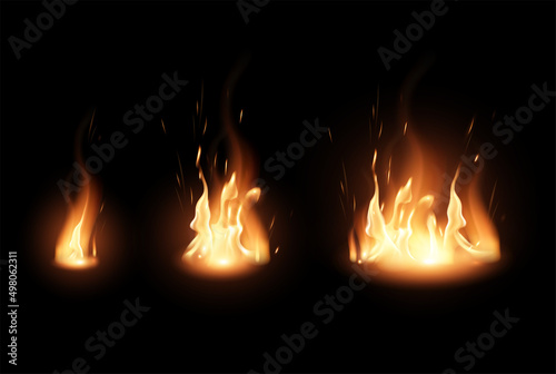 Burning fire.The effect of transparency. Highly realistic illustration.