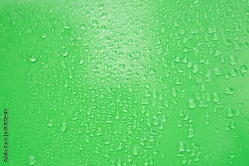 Water drops on green background.