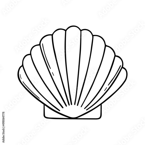 Hand drawn sea shell in doodle sketch style. Vector illustration isolated on white background.