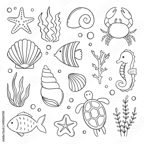 Set of sea life doodle. Underwater elements: shells, fish, corals and seaweed in sketch style. Hand drawn vector illustration isolated on white background.