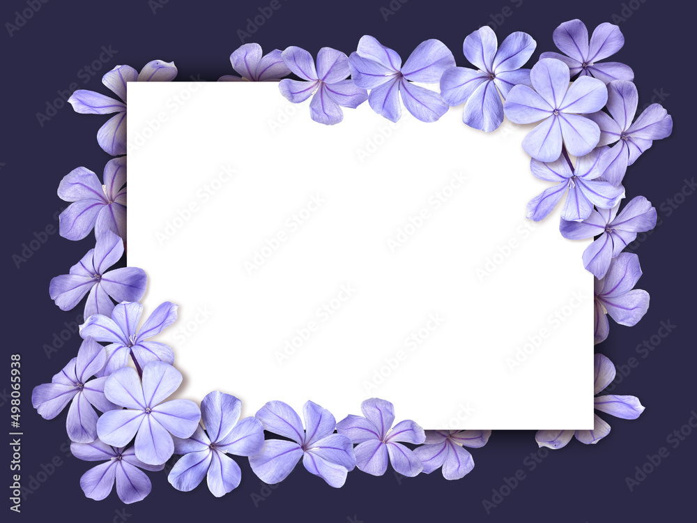 Square frame of purple blossom Hydrangea flowers. Template for greeting card, wedding or Valentine's day.