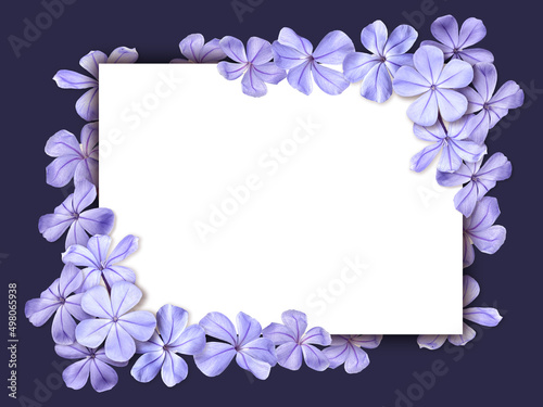Square frame of purple blossom Hydrangea flowers. Template for greeting card  wedding or Valentine s day.