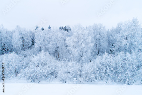 Frosty mixed boreal forest on a cold day in Estonia, Northern Europe © adamikarl
