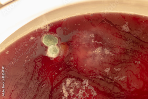 Red compote with mold in a saucepan, background with streaks and bubbles