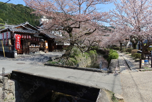 Tetsugakuno-michi Promenade between Ginkaku-ji Temple and Nannzen-ji Temple in Kyoto City in Japan 日本の京都市にある銀閣寺と南禅寺の間の遊歩道哲学の道 photo