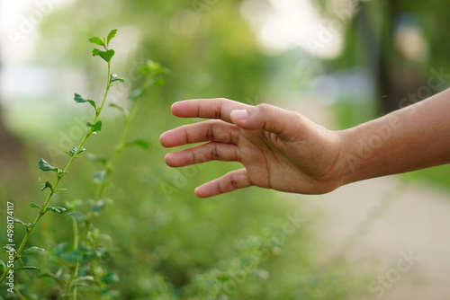 human hand touching grass. concept of saving the world © buraratn