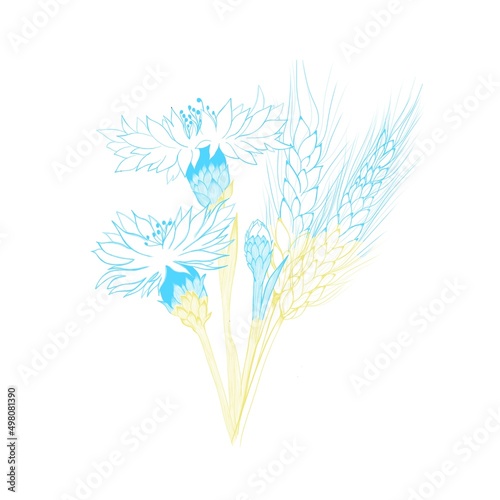 A bouquet of cornflowers with an ear of yellow-blue wheat is the national sym...
