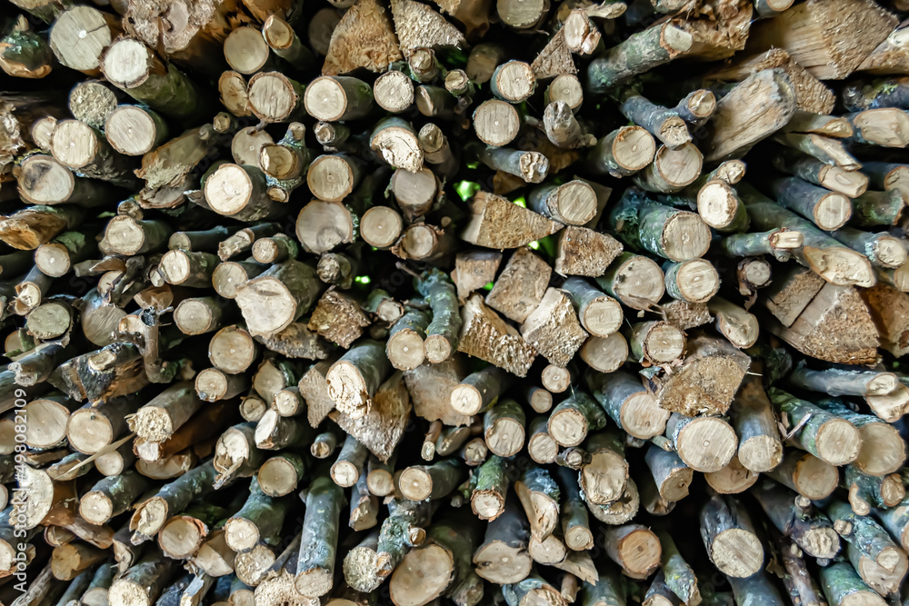 Photography on theme big wall of stacked oak tree logs in cracks Photography on theme big wall of stacked oak tree logs in cracks