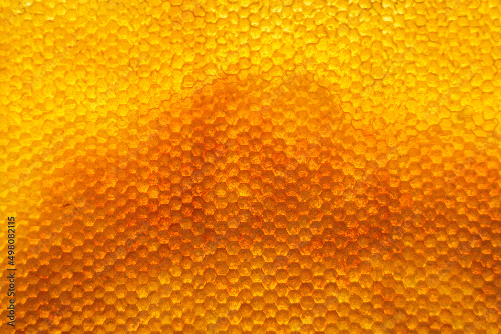 Honeycomb from bee hive filled with golden honey Honeycomb from bee hive filled with golden honey