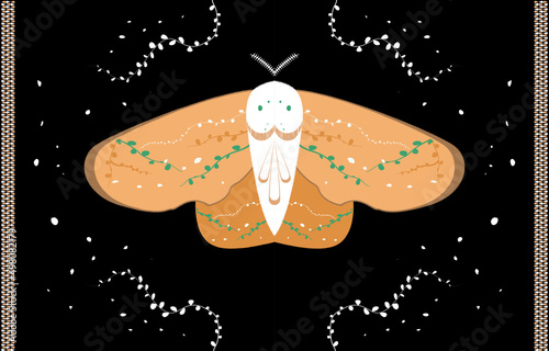 Butter fly moth arab fabric pattern
