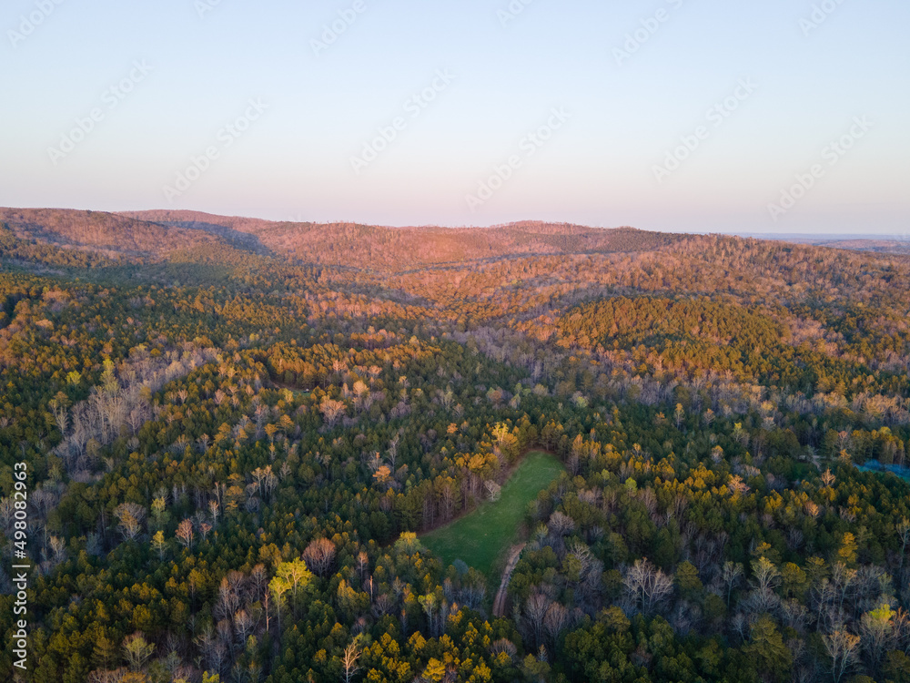 Forest with rolling hills and mountains. Mountains in the background show the landscape. The sunset golden hour creates a golden hue atmosphere on the trees and mountains.