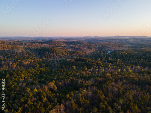 Forest with rolling hills and mountains. Mountains in the background show the landscape. The sunset golden hour creates a golden hue atmosphere on the trees and mountains.