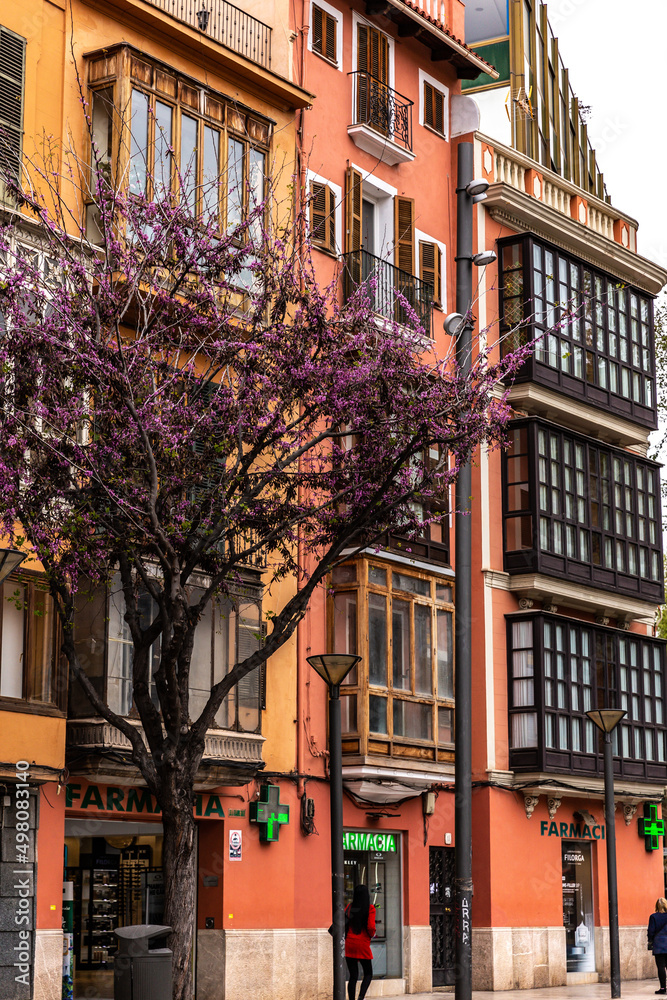 Obraz premium Palma in Palma de Mallorca