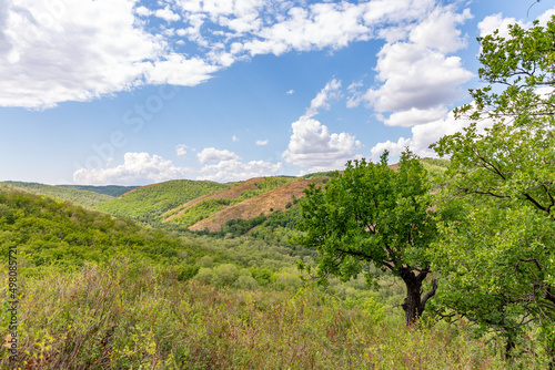 Shaitan-Tau nature reserve (oak forest). Orenburg region, Southern Urals, Russia