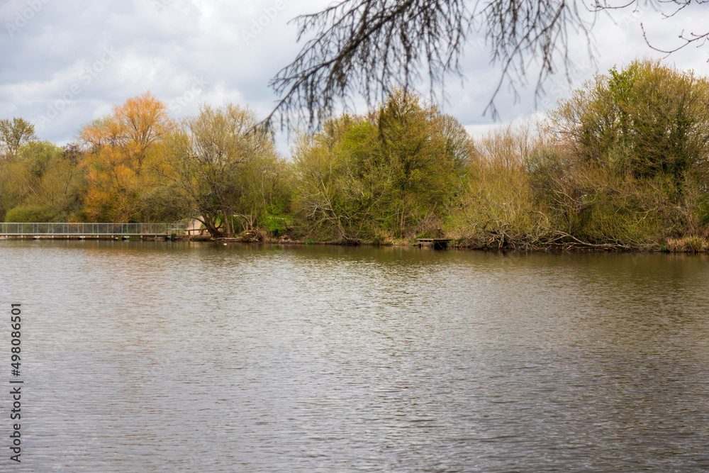 Mill Pond Mill Pond