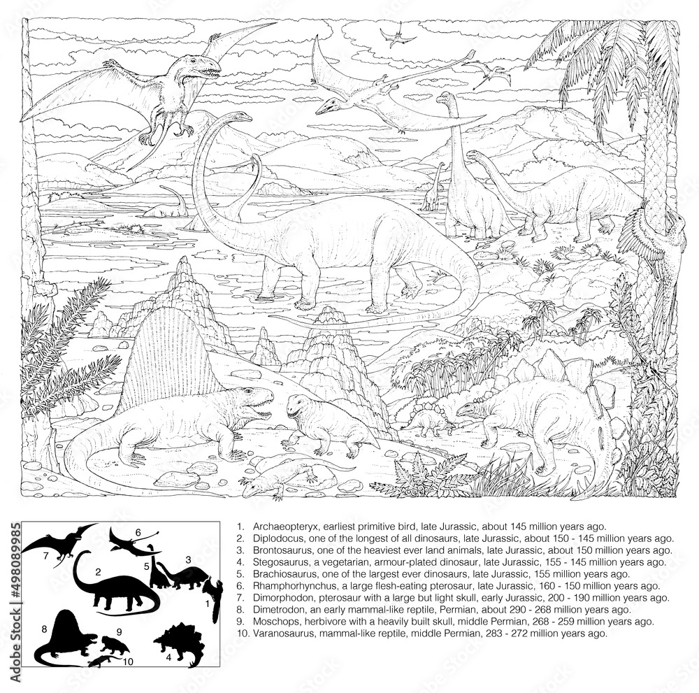 Naklejka premium Dinosaur Scene (1 of 3). Featuring Moschops, Dimetrodon, Rhamphorhynchus, Dimorphodon, Archaeopteryx, Brontosaurus, Diplodocus, Stegosaurus, Varanosaurus and Brachiosaurus. Not all concurrent..