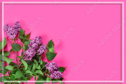 Creative layout made with lilacs flowers. Minimal nature love background.