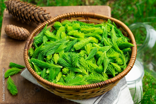 Obraz na płótnie Spruce sprouts and cones, sugar, jars, ingredients for making coniferous syrup. w salonie