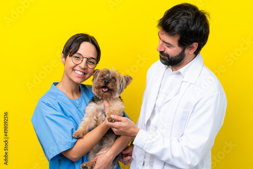 Young veterinarian couple with dog isolated on yellow background