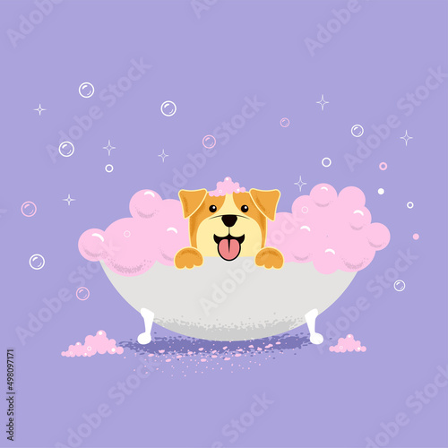 Little dog takes a bath