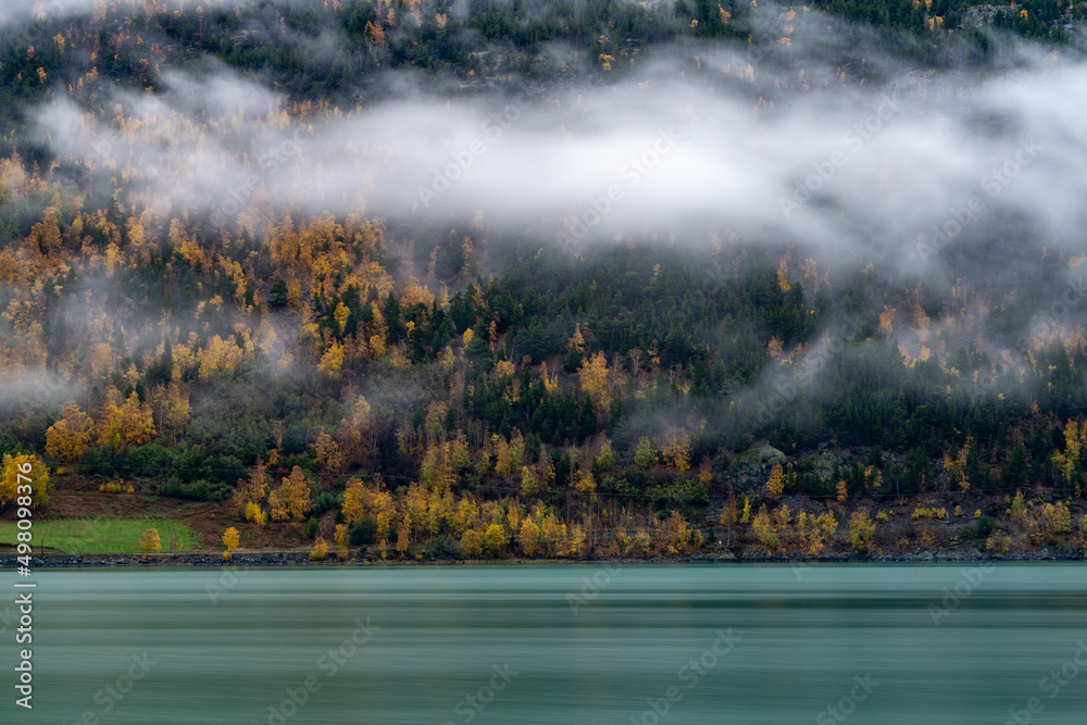 Fototapeta premium Beautiful yellowed leaves on the trees during the fall at the turquoise lake