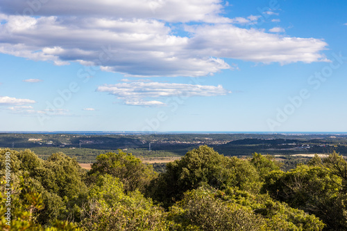 Vue sur la plaine du Languedoc jusqu'à la mer depuis le Bois de Lèque à Les Matelles (Occitanie, France)