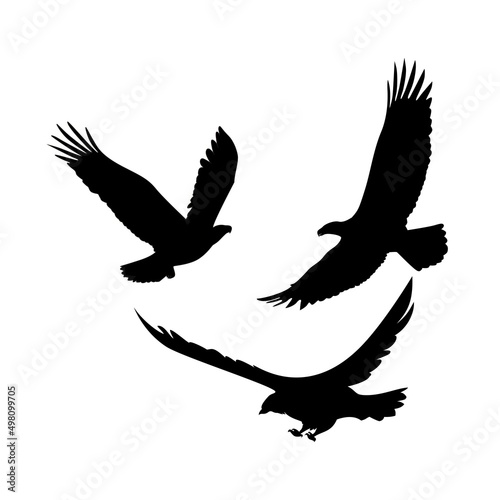eagle silhouette vector illustration. bird icon, sign and symbol.
