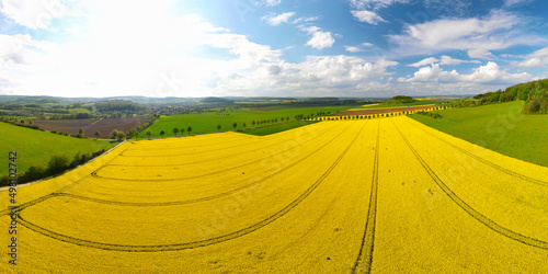 Aerial panorama of a flowering rape field in agricultural landscape on a sunny day. Drone shot of German farmland in summer.