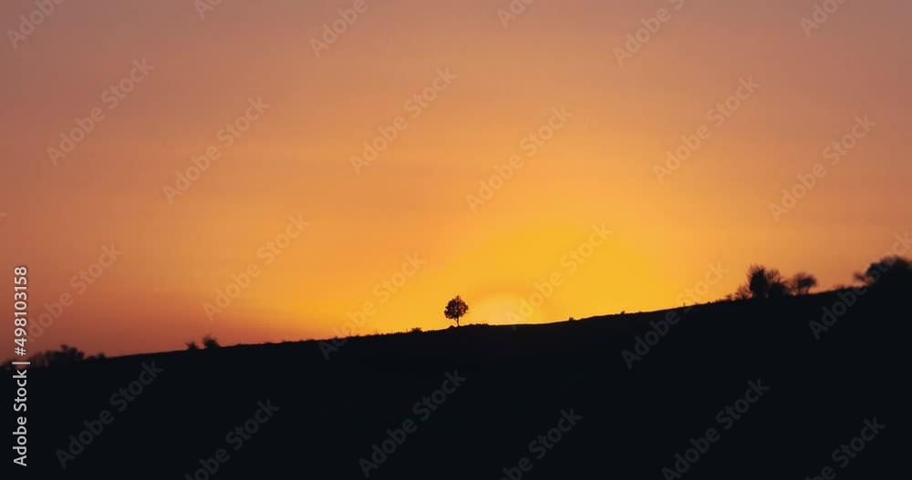 Beautiful golden orange sunrise behind isolated single tree Beautiful golden orange sunrise behind isolated single tree