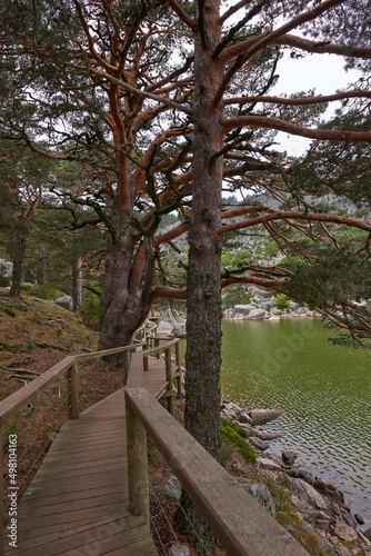 A wooden walkway over a lake surrounded by pine trees
