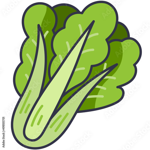 spinach line icon