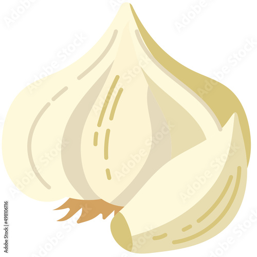 garlic flat icon