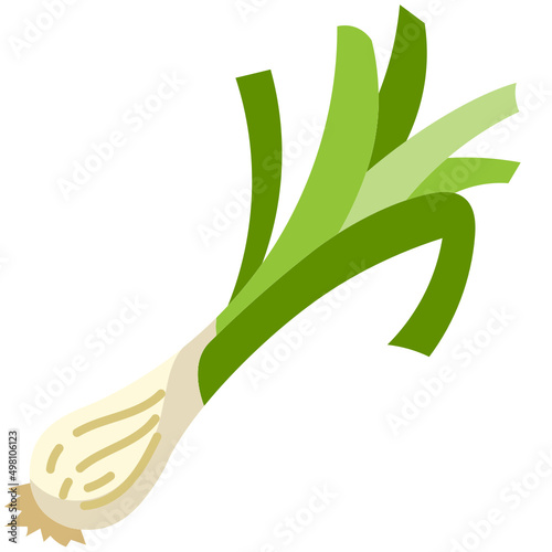 green onion flat icon