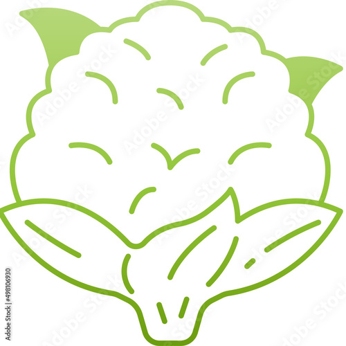 cauliflower gradient icon