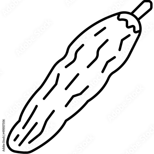 bitter gourd line icon