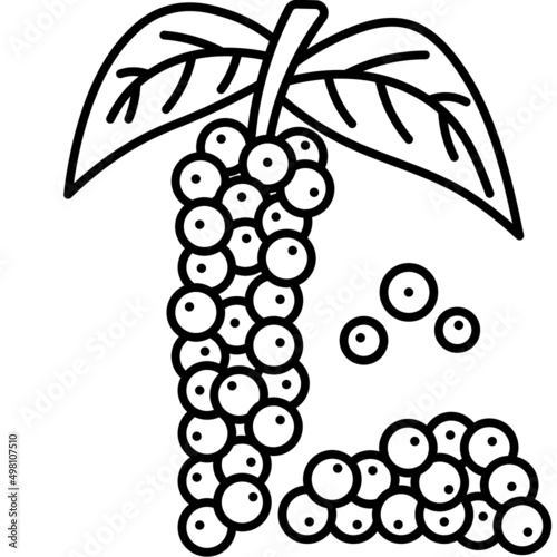 black pepper line icon
